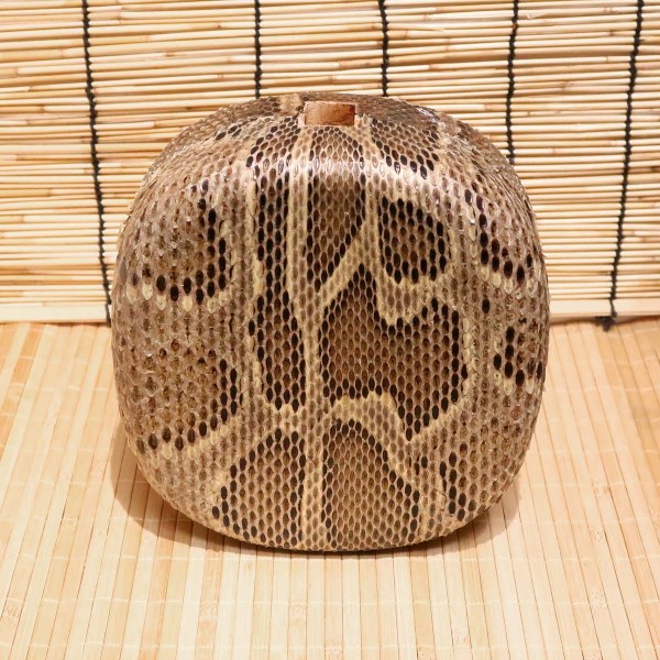 アウトレット蛇皮チーガ01（強化張り：7.5分張り）2