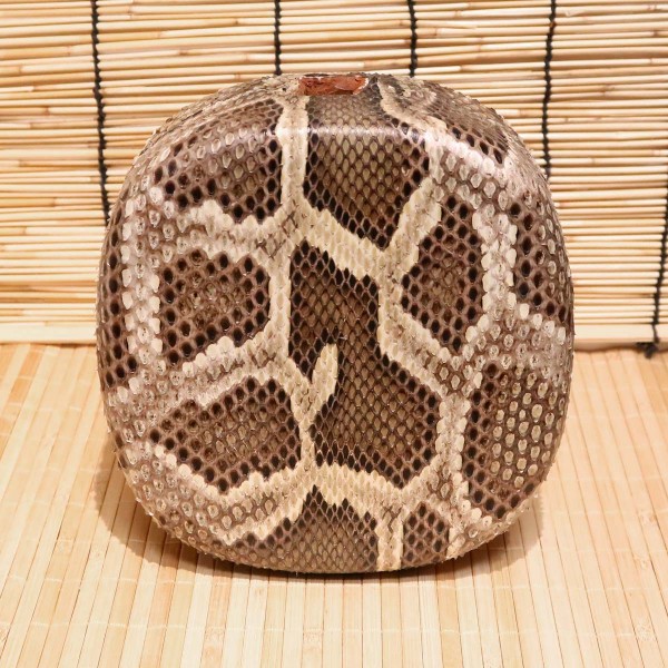 アウトレット蛇皮チーガ02（強化張り：7.5分張り）2