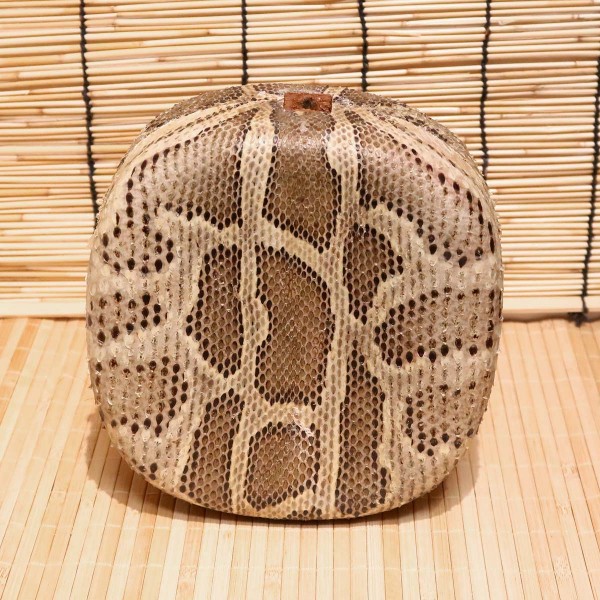 アウトレット蛇皮チーガ05（強化張り：8分張り）2