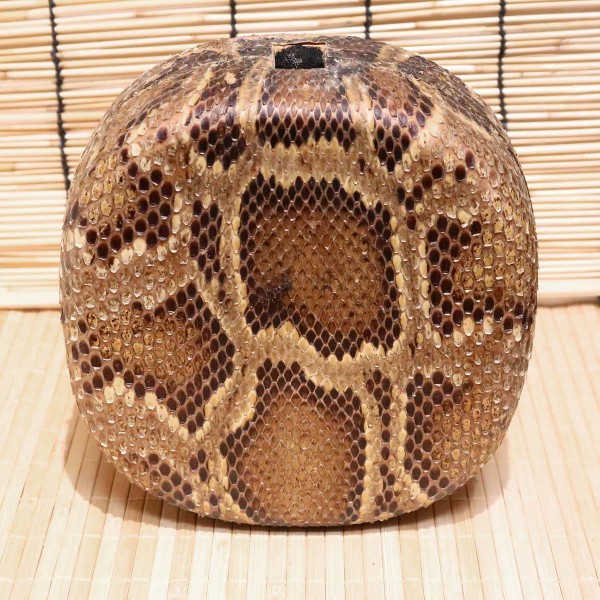 アウトレット蛇皮チーガ09（強化張り：7.5分張り）2