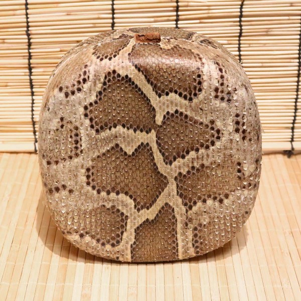 アウトレット蛇皮チーガ10（強化張り：8分張り）2