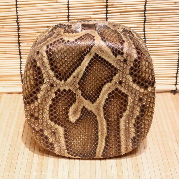 アウトレット蛇皮チーガ11（強化張り：7.5分張り）2