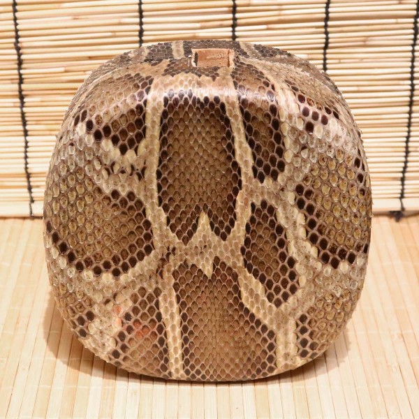 アウトレット蛇皮チーガ12（強化張り：7.5分張り）2