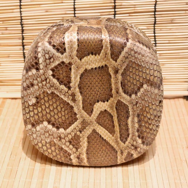 アウトレット蛇皮チーガ13（強化張り：7分張り）2