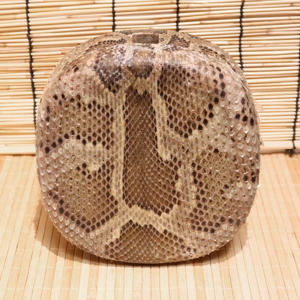 アウトレット蛇皮チーガ14（強化張り：8分張り）2