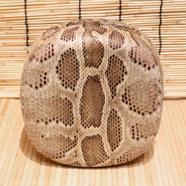 アウトレット蛇皮チーガ15（強化張り：7.5分張り）2