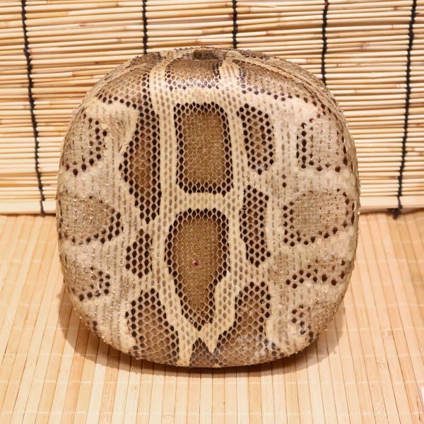 アウトレット蛇皮チーガ16（強化張り：8分張り）2