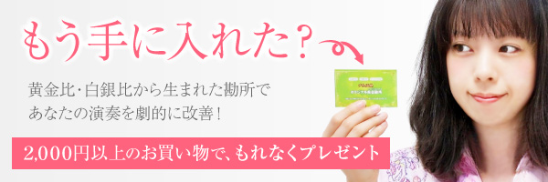 もう手に入れた？黄金比・白銀比から生まれた勘所であなたの演奏を劇的に改善2,000円以上のお買い物でもれなくプレゼント